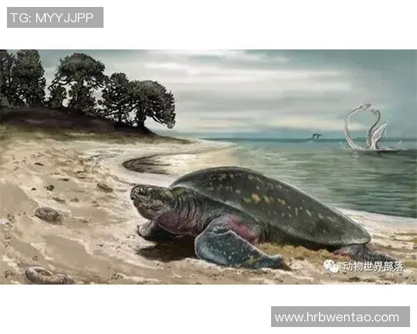 欧洲联赛背后的十个冷知识揭示你绝对不知道的历史与趣事